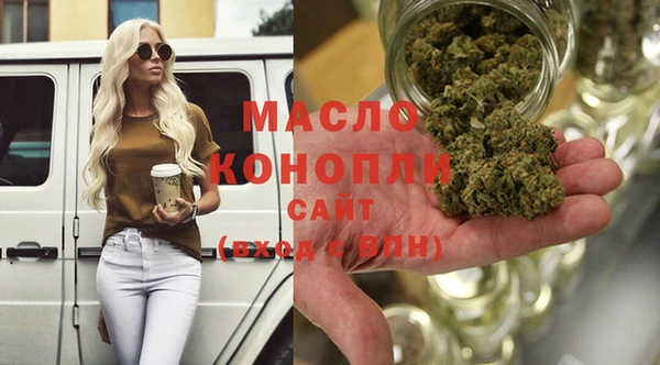 индика Заполярный