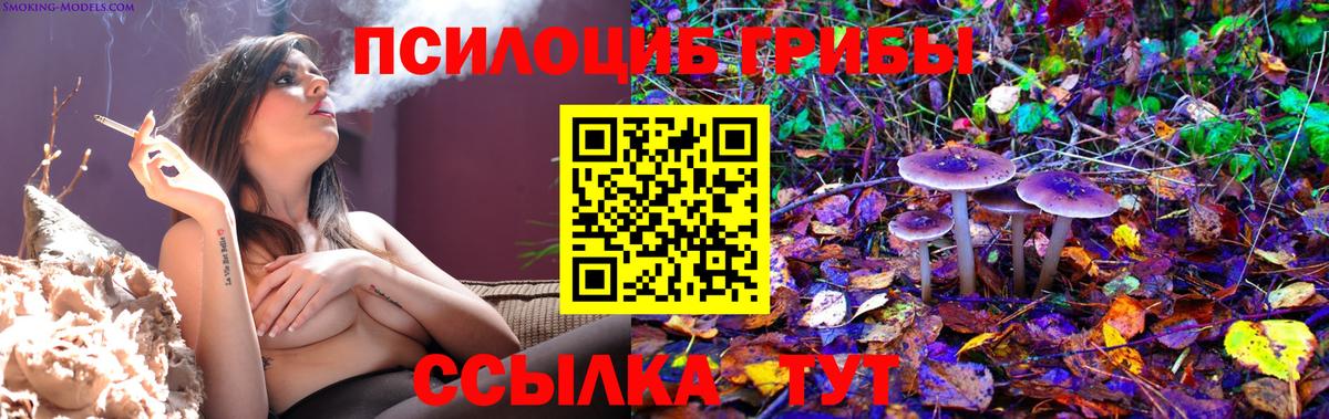 Галлюциногенные грибы Psilocybine cubensis  Вход с VPN  Благодарный 