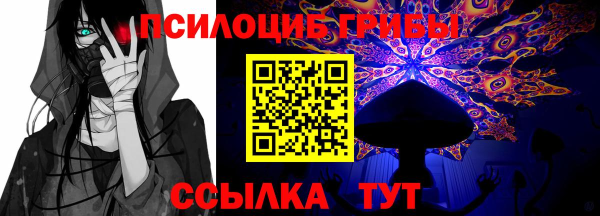 Псилоцибиновые грибы мухоморы Благодарный