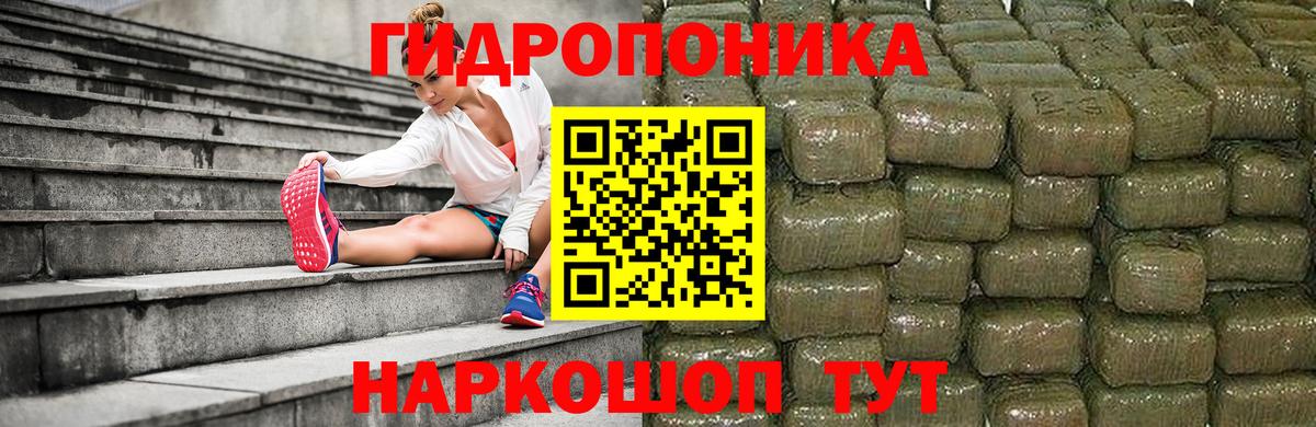 Каннабис AK-47 Благодарный